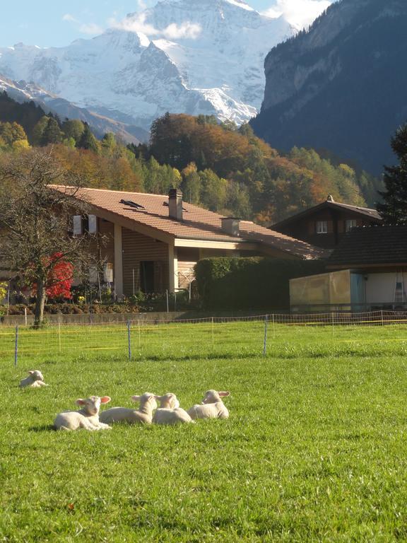 Apartment Beck Wilderswil Exterior foto